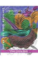 Spencerian birds vibrant books