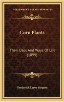 Corn Plants