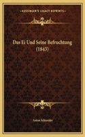 Ei Und Seine Befruchtung (1843)