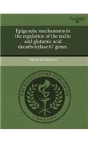 Epigenetic Mechanisms in the Regulation of the Reelin and Glutamic Acid Decarboxylase 67 Genes: (English)