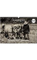 Harvest, Pictures from Yesteryear 2018