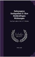 Salzungens Soolquellen U. Ihre Heilkräftigen Wirkungen: Von Ferd. Jahn U. Chr. Fr. . Richter