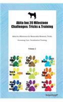 Akita Inu 20 Milestone Challenges