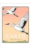 Whooping Cranes: Earth Forever (Unboxed)
