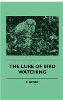 Lure of Bird Watching