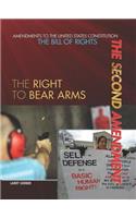 The Second Amendment