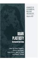 Brain Plasticity