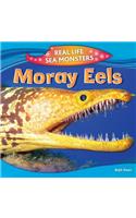 Moray Eels