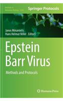 Epstein Barr Virus