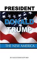 President Donald Trump