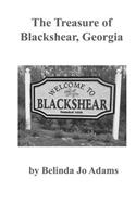 Treasure of Blackshear, Georgia: in Black & White