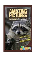 Amazing Pictures and Facts about Raccoons