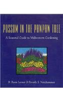 Possum in the Pawpaw Tree