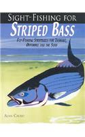 Sight-Fishing for Striped Bass