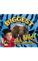 Biggest Animals