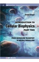 Introduction to Cellular Biophysics, Volume 2