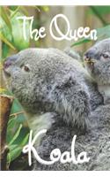 The Queen Koala