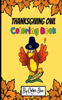 Thanksgiving Owl Coloring Book: Fall Harvest Coloring Book Thanksgiving Holiday Designs, Pumpkins, Turkey And More, Holiday Coloring and Activity Book for Toddlers and Preschoolers(2 Thanksgiving Activity Book)