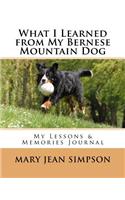 What I Learned from My Bernese Mountain Dog