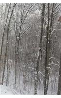 2019 Daily Planner Winter Forest Bare Trees Snowy Groundcover 384 Pages