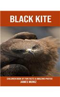 Black Kite: Children Book of Fun Facts & Amazing Photos