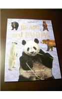 Bears And Pandas