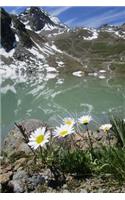 Wildflowers and a Mountain Lake Journal