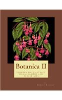 Botanica II