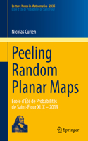 Peeling Random Planar Maps: École d'Été de Probabilités de Saint-Flour XLIX - 2019