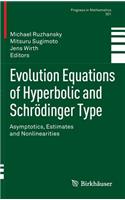 Evolution Equations of Hyperbolic and Schrödinger Type