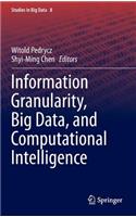Information Granularity, Big Data, and Computational Intelligence