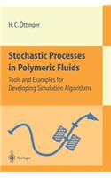 Stochastic Processes in Polymeric Fluids