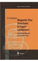 Magnetic Flux Structures in Superconductors