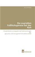 Die Ovariellen Follikulogenese Bei Der Kuh