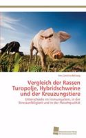 Vergleich der Rassen Turopolje, Hybridschweine und der Kreuzungstiere