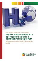 Estudo sobre simulação e operação de células a combustível do tipo PEM