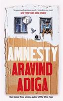 The Amnesty: Man Booker Award-winning Author of The White Tiger