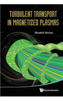 Turbulent Transport in Magnetized Plasmas