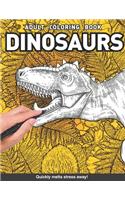 Dinosaur Adults Coloring Book