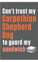 Can't trust my Carpathian Shepherd Dog to guard my sandwich: For Carpathian Shepherd Dog Breed Fans