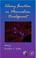 Ciliary Function in Mammalian Development