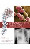 Streptococcus Pneumoniae