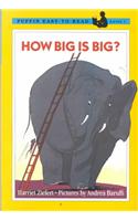 How Big is Big?
