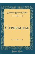 Cyperaceae (Classic Reprint)