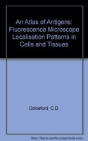 An Atlas of Antigens: Fluorescence Microscope Localisation Patterns in Cells and Tissues