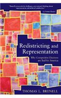 Redistricting and Representation