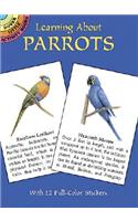 Learning about Parrots