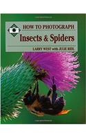 How to Photograph Insects and Spiders