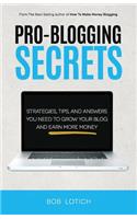 Pro-Blogging Secrets: Strategies, Tips, and Answers You Need to Grow Your Blog and Earn More Money
