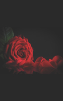Rose For Maria and A Summer In Naples